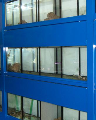 Acquario moduli espositore