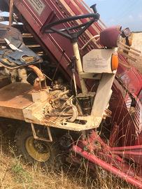 Falciacarica De Pietri