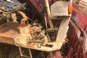 Falciacarica De Pietri