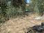 Immagine 26