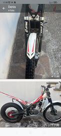 Trial Beta Evo 290cc 
