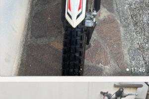 Trial Beta Evo 290cc 