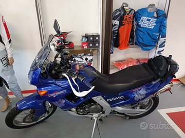 Pegaso 650 "2000"