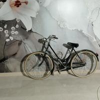 bici Rizzato, modello Radius, 