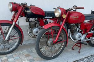 Benelli  Leoncino 125