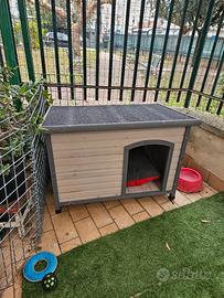 cuccia cane legno