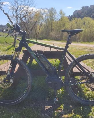 E-MTB Bicicletta elettrica Lombardo TRATTABILE