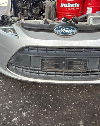 PARAURTI E COFANO FORD FIESTA 2009 3 PORTE