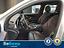 Immagine 12