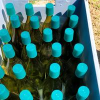 bottiglie in vetro  e gocciolatoio 