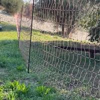 Recinto elettrico (rete + elettrificatore)