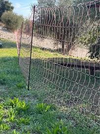 Recinto elettrico (rete + elettrificatore)