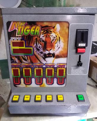 videogioco tiger slot elettronica