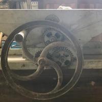 ANTICA PIGIATRICE MANUALE 