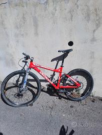 specialized