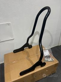 Sissy bar sportster 04/20