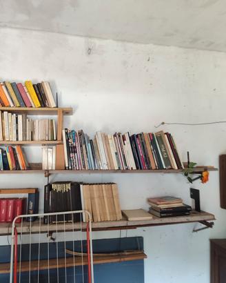 centinaia di libri vintage 