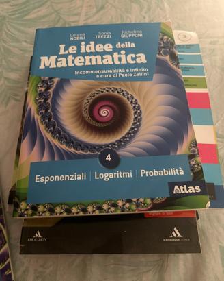 Le idee della matematica