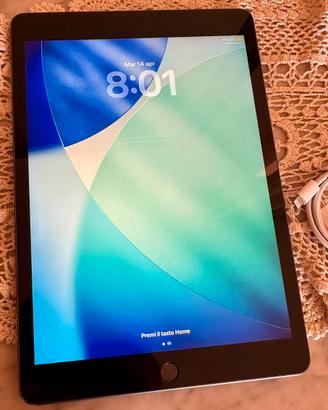 iPad 9 gen 256GB Wi-Fi