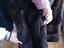 Immagine 6