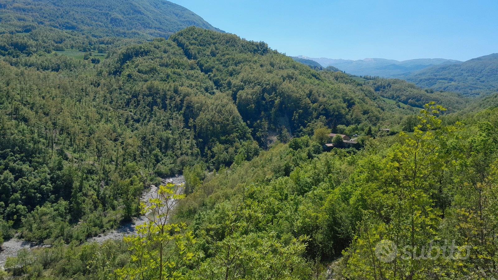 Rustico più terreno e bosco - Vista 5