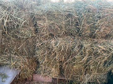 Ballette fieno erba medica