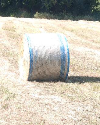 fieno prato ultimi rotoli 