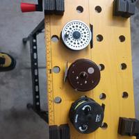 mulinelli mosca con coda sopra 