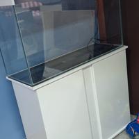 acquario Ciano e altro per acquari dolce e marini