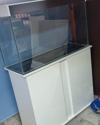 acquario Ciano e altro per acquari dolce e marini