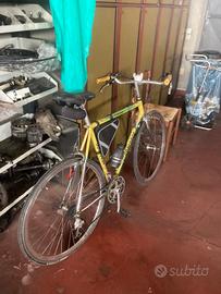 Bicicletta sport campagnolo