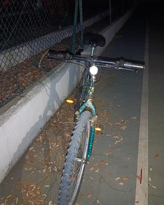 bicicletta
