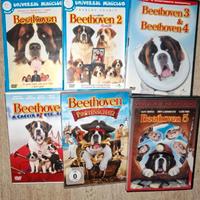 Collezione DVD Beethoven 
