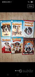 Collezione DVD Beethoven 