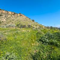 Terreno in contrada Feudo Nobile a Gela (CL)