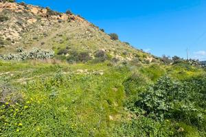 Terreno in contrada Feudo Nobile a Gela (CL)