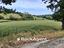 Immagine 7