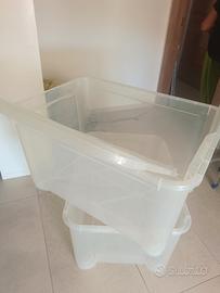 box contenitore in plastica 