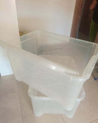 box contenitore in plastica 