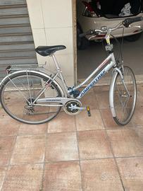 Bici da passeggio