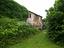 Immagine 4