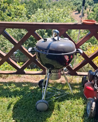 barbecue weber
