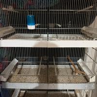 Gabbia da batteria 90/120 cm