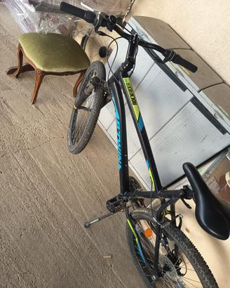 bici da montagna