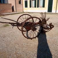 Scavapatate aniquariato