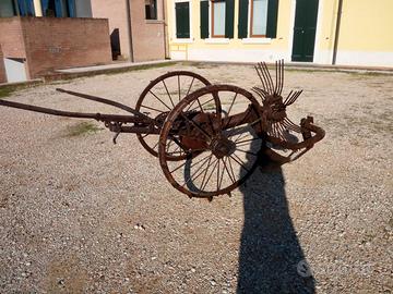 Scavapatate aniquariato