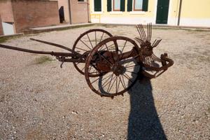 Scavapatate aniquariato