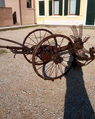 Scavapatate aniquariato