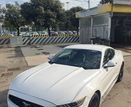 Ford Mustang Fastback 2.3 317cv Manuale Italiana