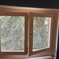 Finestre e Porta finestra in Legno